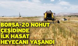 Borsa-20 nohut çeşidinde ilk hasat heyecanı yaşandı