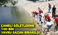 Çameli Göletlerine 100 Bin Yavru Sazan Bırakıldı
