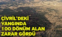 Çivril’deki yangında 100 dönüm alan zarar gördü