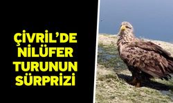 Çivril’de nilüfer turunun sürprizi