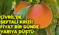 Çivril'de Şeftali Krizi! Fiyat Bir Günde Yarıya Düştü