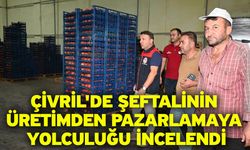 Çivril'de şeftalinin üretimden pazarlamaya yolculuğu incelendi