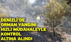 Denizli’de orman yangını hızlı müdahaleyle kontrol altına alındı