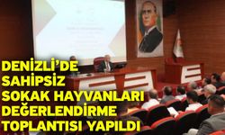Denizli’de Sahipsiz Sokak Hayvanları Değerlendirme Toplantısı Yapıldı