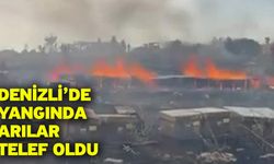 Denizli’de yangında arılar telef oldu