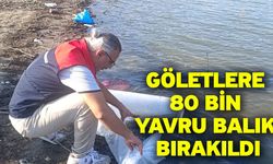 Göletlere 80 bin yavru balık bırakıldı