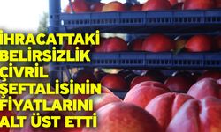 İhracattaki belirsizlik Çivril şeftalisinin fiyatlarını alt üst etti