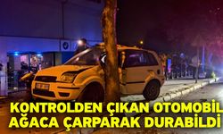 Kontrolden çıkan otomobil ağaca çarparak durabildi