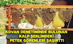 Kovan denetiminde bulunan kalp şeklindeki petek görenleri şaşırttı