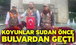 Koyunlar sudan önce bulvardan geçti