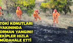 TOKİ Konutları Yakınında Orman Yangını! Ekipler Hızla Müdahale Etti