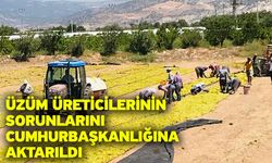 Üzüm üreticilerinin sorunlarını Cumhurbaşkanlığına aktarıldı
