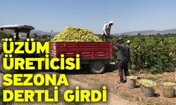 Üzüm üreticisi sezona dertli girdi