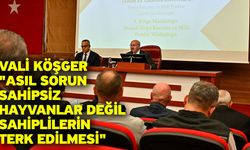 Vali Köşger: "Asıl sorun sahipsiz hayvanlar değil sahiplilerin terk edilmesi"