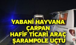 Yabani hayvana çarpan hafif ticari araç şarampole uçtu