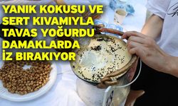 Yanık kokusu ve sert kıvamıyla Tavas yoğurdu damaklarda iz bırakıyor