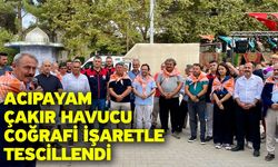 Acıpayam Çakır Havucu Coğrafi İşaretle Tescillendi