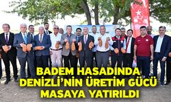 Cevizde Başarıya Giden Yol, Badem İçin De Örnek Olacak