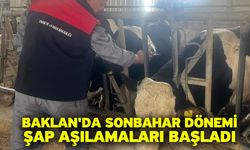 Baklan'da sonbahar dönemi şap aşılamaları başladı