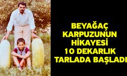 Beyağaç karpuzunun hikayesi 10 dekarlık tarlada başladı