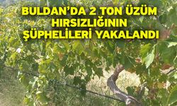 Buldan’da 2 ton üzüm hırsızlığının şüphelileri yakalandı