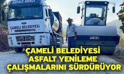 Çameli Belediyesi asfalt yenileme çalışmalarını sürdürüyor