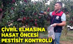Çivril elmasına hasat öncesi pestisit kontrolü