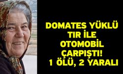 Domates yüklü tır ile otomobil çarpıştı! 1 ölü, 2 yaralı