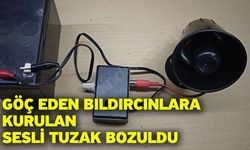 Göç eden bıldırcınlara kurulan sesli tuzak bozuldu
