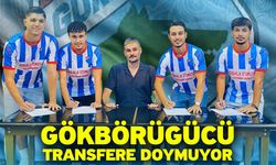 Gökbörügücü transfere doymuyor