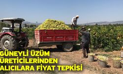 Güneyli üzüm üreticilerinden alıcılara fiyat tepkisi