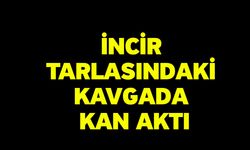 İncir tarlasındaki kavgada kan aktı