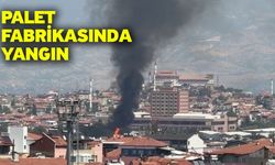 Palet fabrikasında yangın