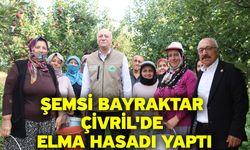 Şemsi Bayraktar Çivril'de elma hasadı yaptı