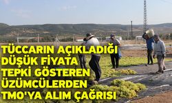 Tüccarın açıkladığı düşük fiyata tepki gösteren üzümcülerden TMO'ya alım çağrısı
