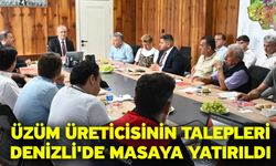 Üzüm Üreticisinin Talepleri Denizli'de Masaya Yatırıldı