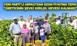 YENİ Parti’li Arpacı’dan üzüm fiyatına tepki “Üreticinin şevki kırıldı, hevesi kalmadı”