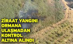 Ziraat yangını ormana ulaşmadan kontrol altına alındı