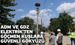Adm ve Gdz Elektrik’ten göçmen kuşlara güvenli gökyüzü