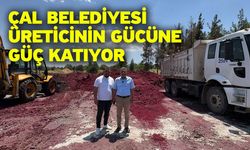 Çal Belediyesi besicilere yönelik yem desteğini bu yılda sürdürdü