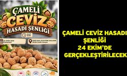 Çameli Ceviz Hasadı Şenliği 24 Ekim’de Gerçekleştirilecek