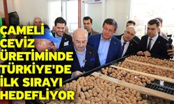 Çameli ceviz üretiminde Türkiye'de ilk sırayı hedefliyor