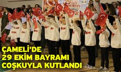 Çameli'de 29 Ekim Bayramı coşkuyla kutlandı
