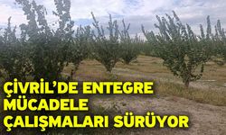 Çivril’de entegre mücadele çalışmaları sürüyor