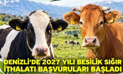 Denizli'de 2027 Yılı Besilik Sığır İthalatı Başvuruları Başladı
