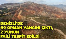 Denizli'de bu yıl 4,5 milyon fidan toprakla buluşacak