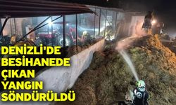 Denizli'de besihanede çıkan yangın söndürüldü