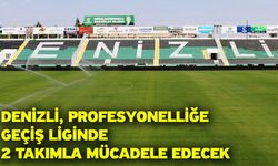 Denizli, Profesyonelliğe Geçiş Liginde 2 takımla mücadele edecek