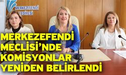 Merkezefendi Meclisi’nde Komisyonlar Yeniden Belirlendi