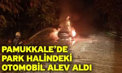 Pamukkale’de park halindeki otomobil alev aldı